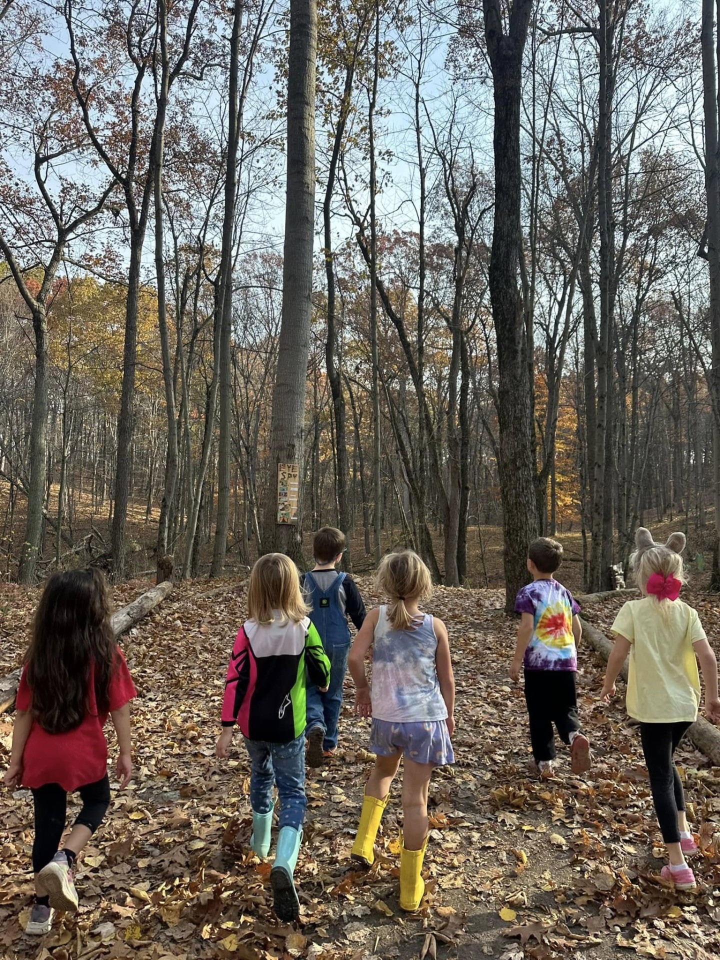 Children exploring an autumn forest, dressed in vibrant outfits, enjoying nature’s beauty together.