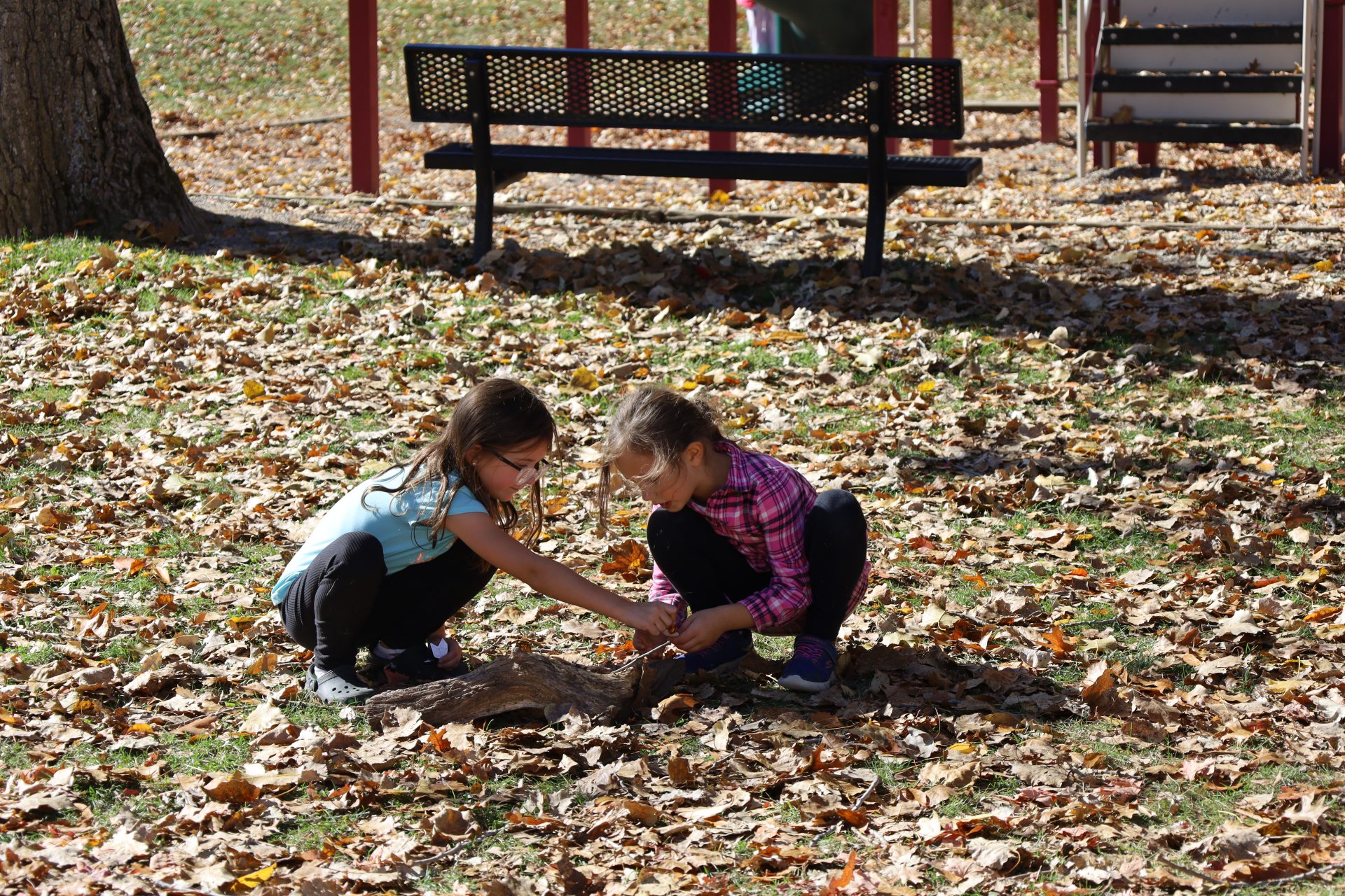 Two girls explore autumn leaves in a playground, discovering natures wonders on a sunny day.